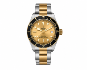Tudor Black Bay S&G Champagne Dial Two-Tone